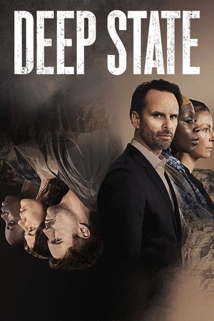 Deep State Saison 2