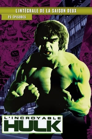 L'Incroyable Hulk