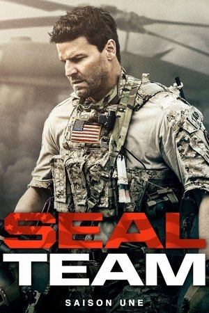 SEAL Team